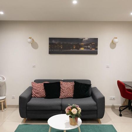Elegant Et Tres Spacieux, Mon Studio Vous Seduira! Metz Exteriör bild